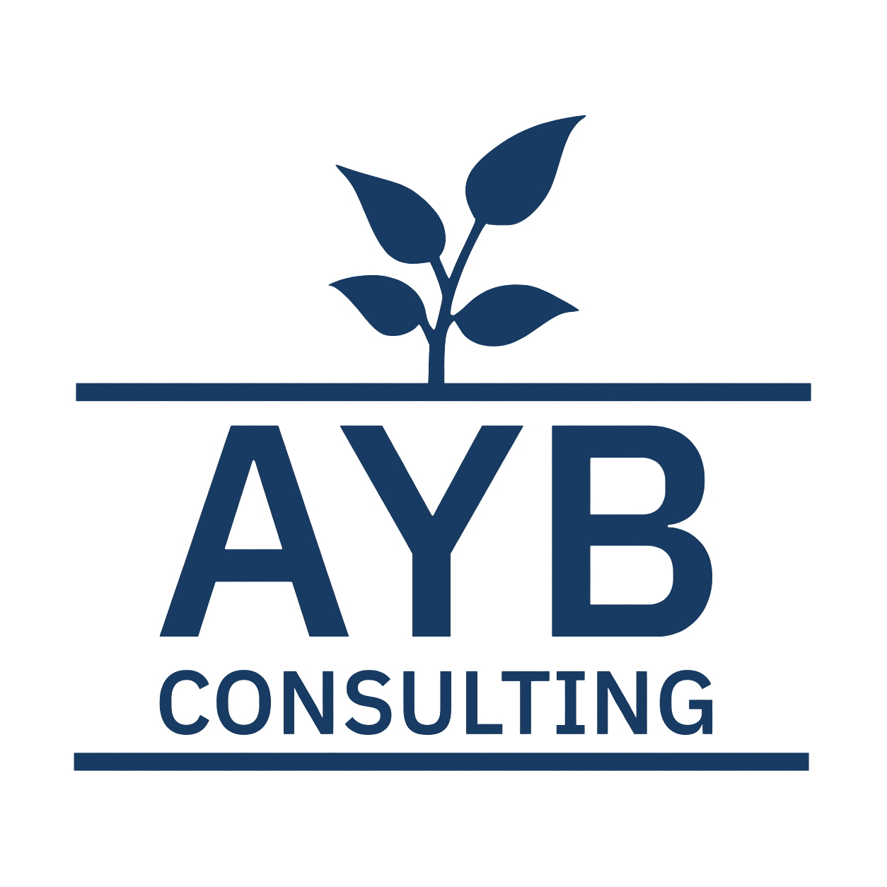 AYB Consulting